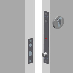Electric bolt lock with key cylinder mounting example illustration - VIS-DP103WCY-FSE-LED